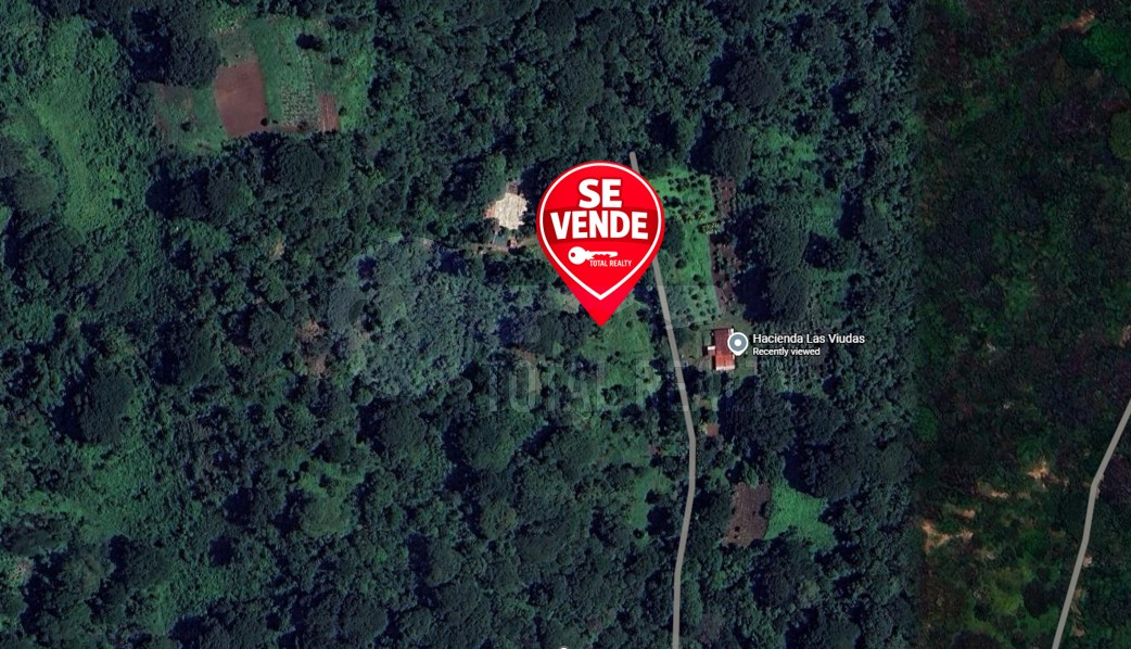 Excelente Terreno en venta en Las Viudas Jocote Dulce