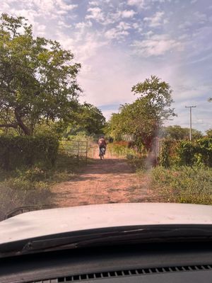 Terreno en venta en Leon