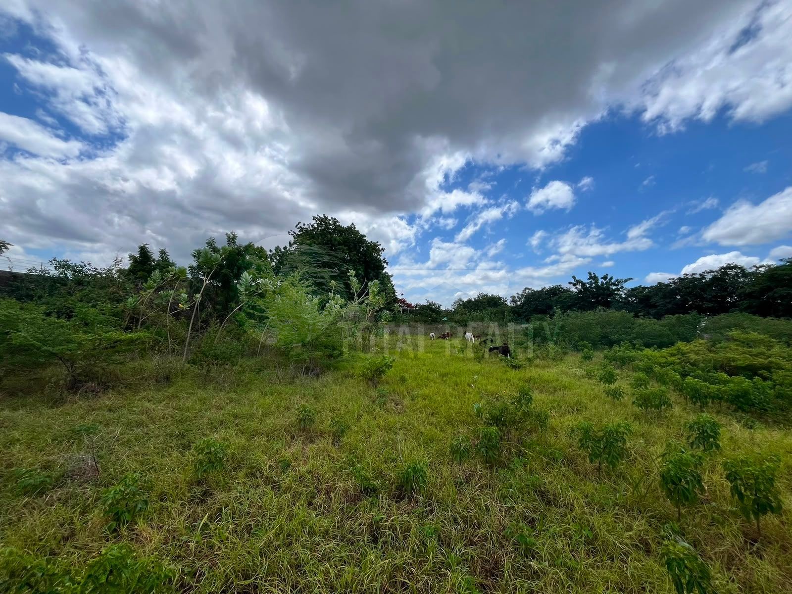 Terreno en venta en Las Jaguitas