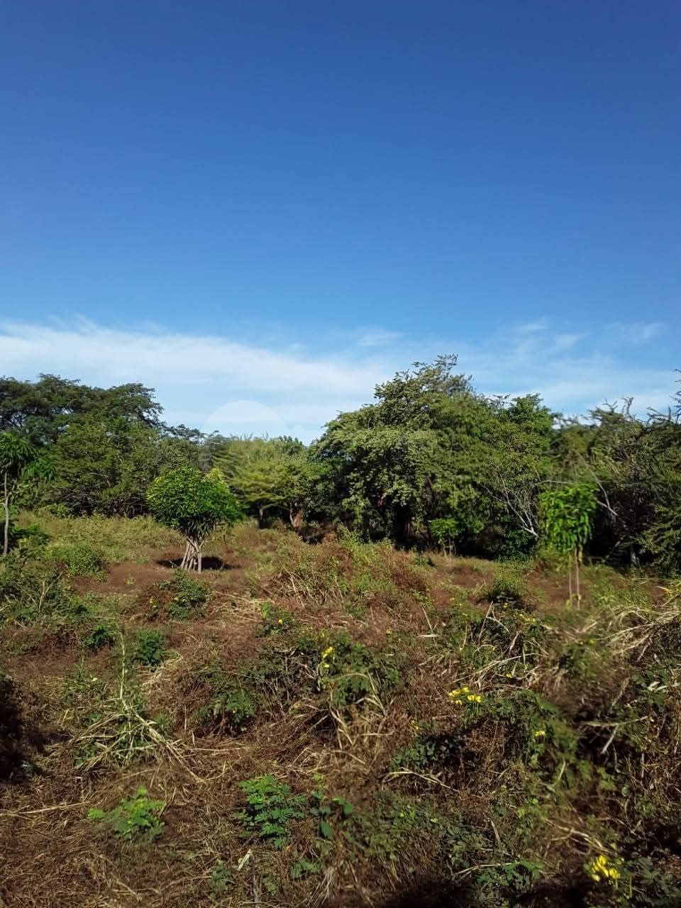 Terreno en venta en La Paz Centro - Leon