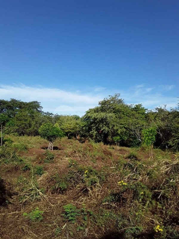 Terreno en venta en La Paz Centro - Leon