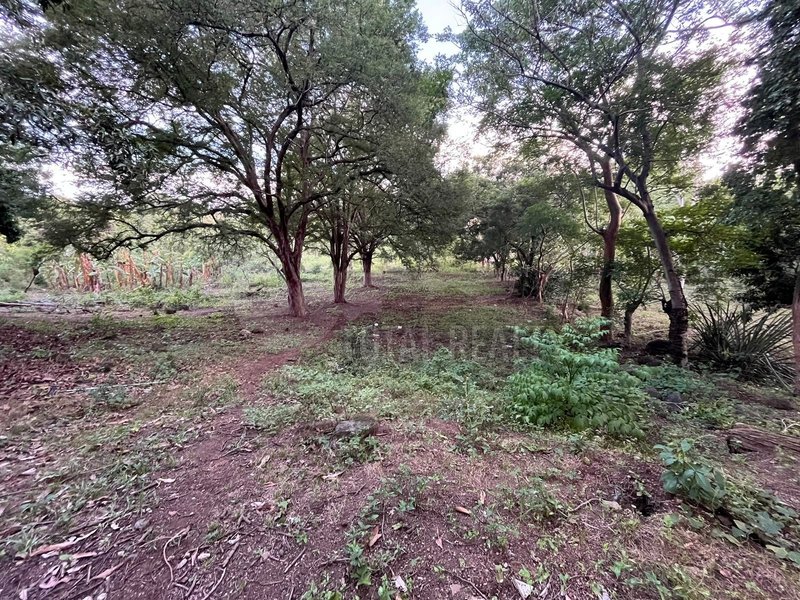 TERRENO EN VENTA | CARRETERA MASAYA KM 10.5 – SAN ANTONIO SUR