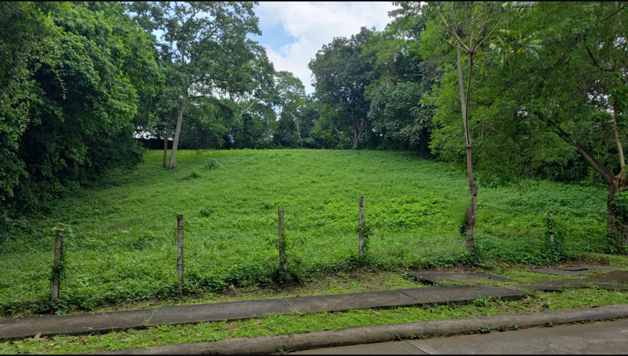 Terreno en venta en Santo Domingo