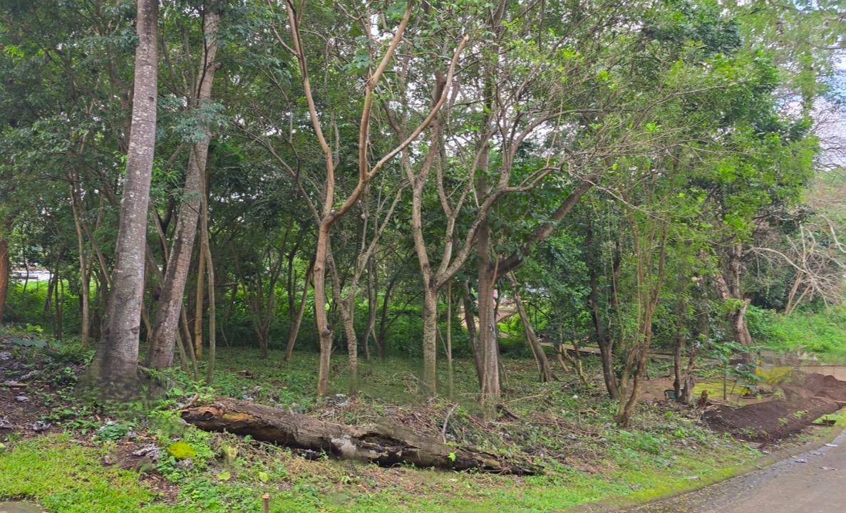 Terreno en venta en Santo Domingo