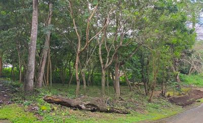 Terreno en venta en Santo Domingo