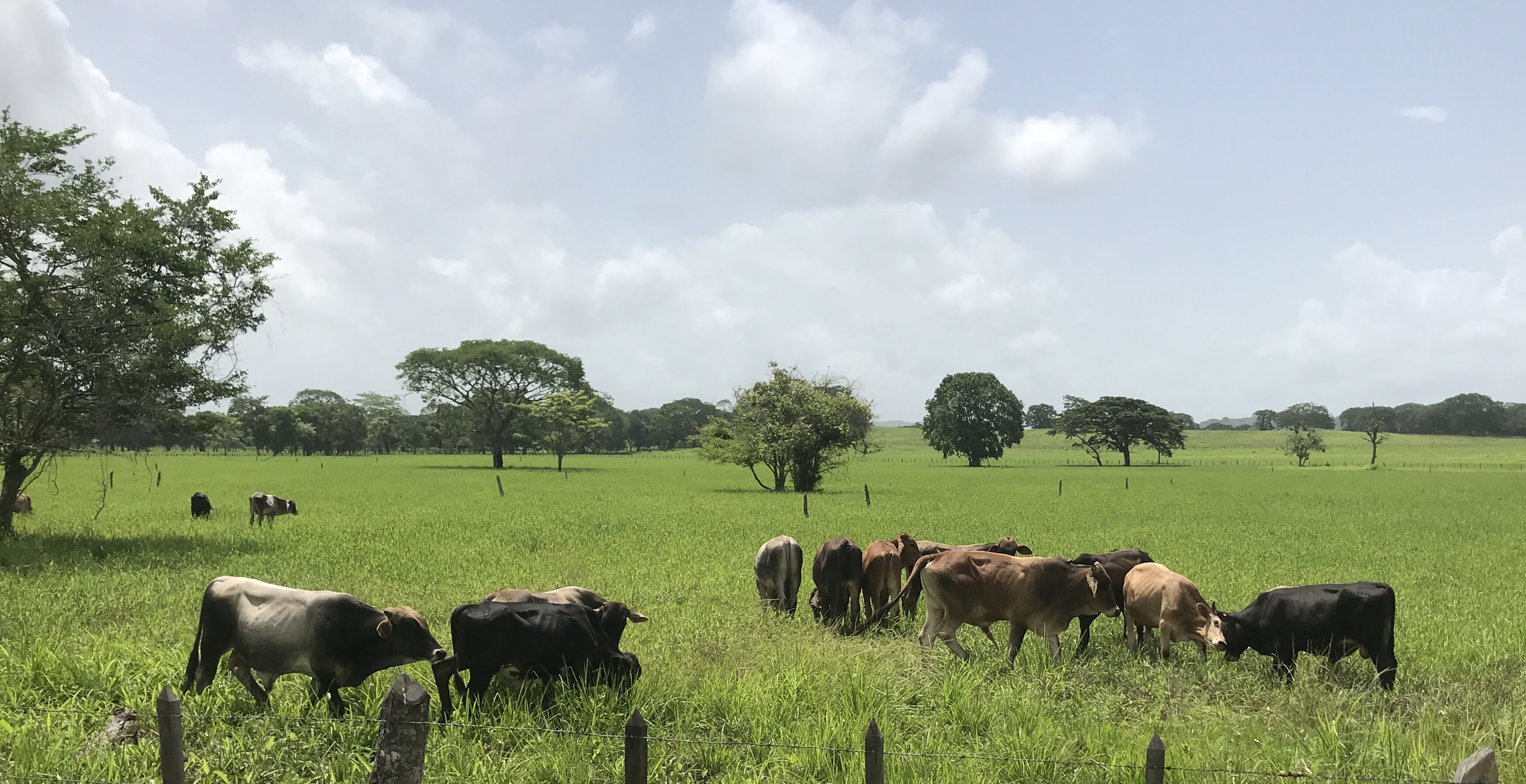 Finca en venta en Muy Muy 1890mz
