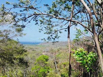 Propiedades de Playa en venta en San Juan, San Juan del Sur