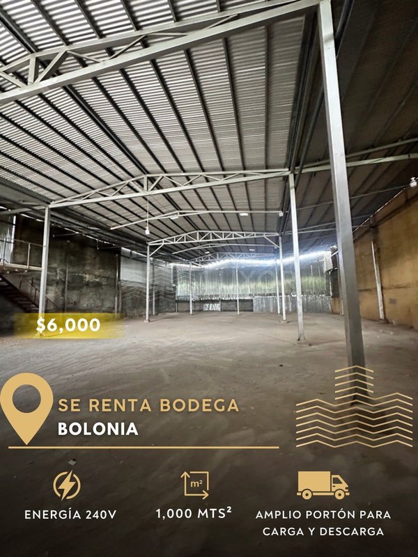 Bodega en alquiler en Bolonia