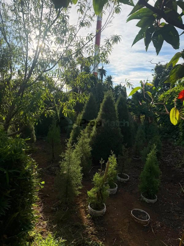 Propiedad en venta en Heredia
