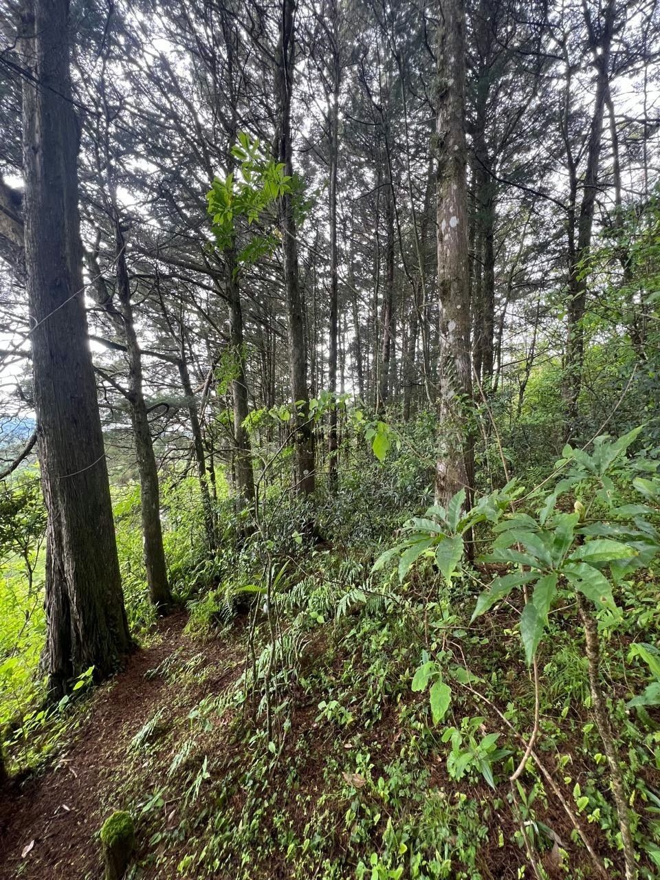 Propiedad en venta en Santa Ana