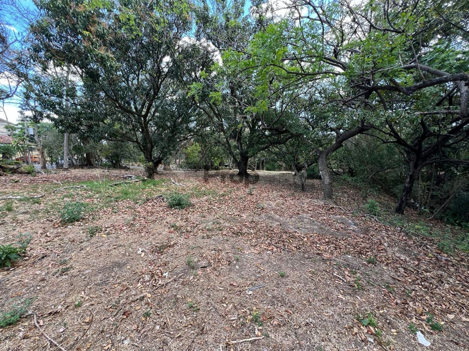 Propiedad en venta en Santa Ana