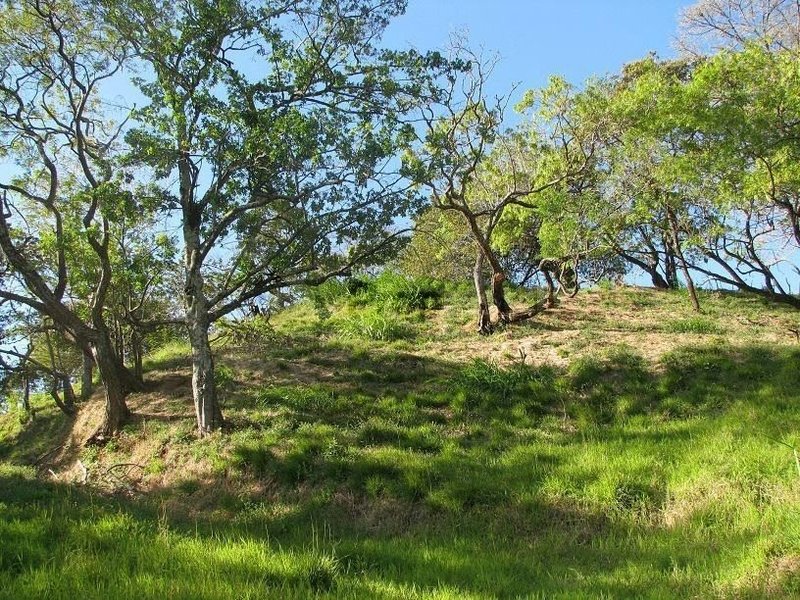Property for sale in Santa Ana